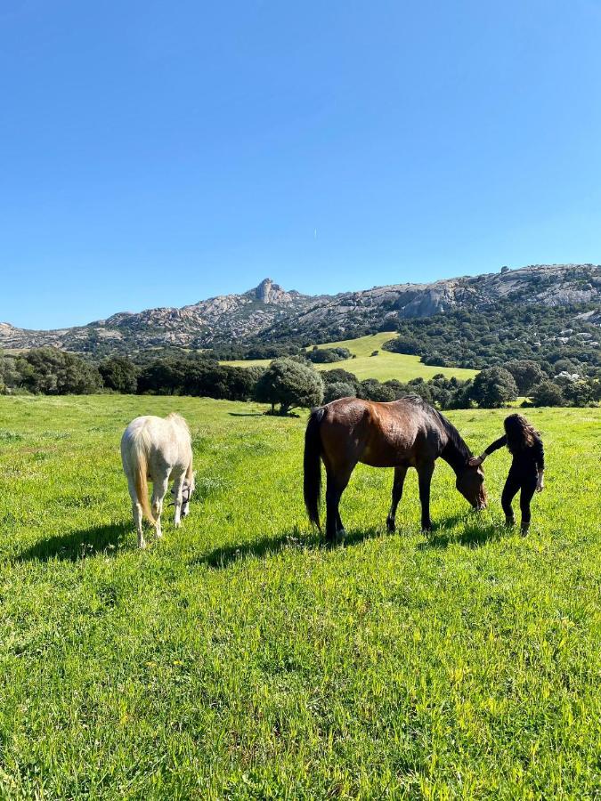 Agriturismo Lu Branu Arzachena Bagian luar foto