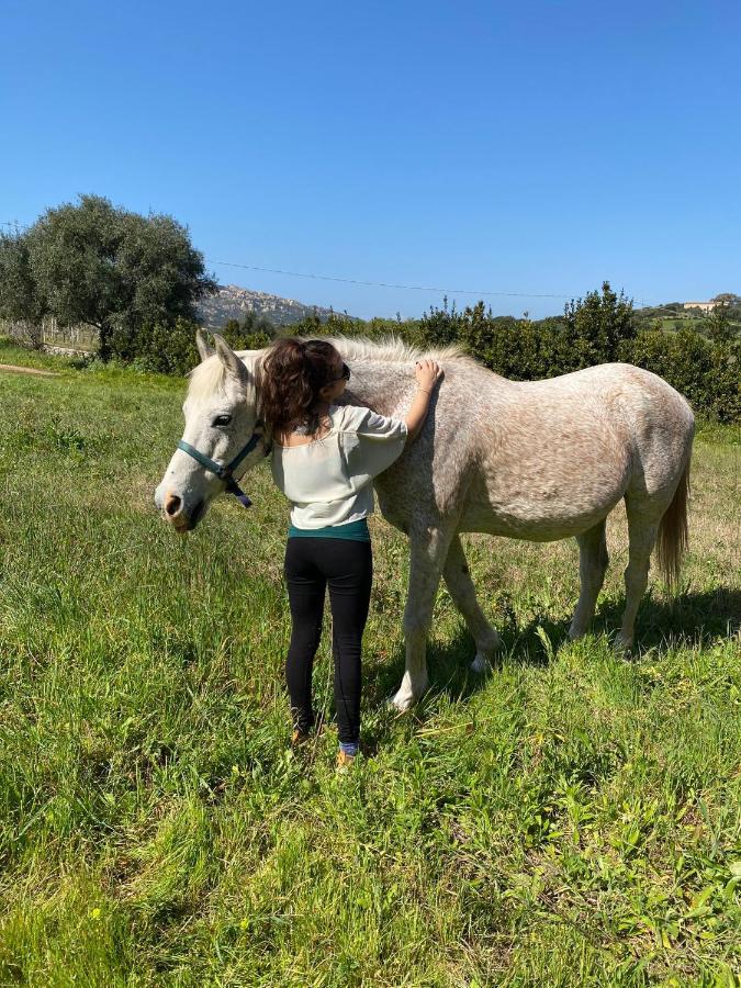 Agriturismo Lu Branu Arzachena Bagian luar foto